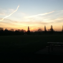 illstartarevolutionfrommybed avatar