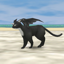 illusion-shield avatar