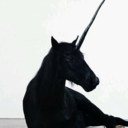 illusiongangxan avatar