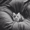 illusionsnfantasies avatar