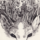 illusionsofdreaming avatar