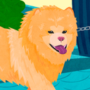 illustratednycdogs avatar