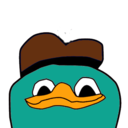 illustratedplatypus avatar