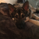 illythegsd avatar
