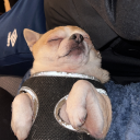 ilostmynameagain avatar