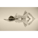 ilostmyselfatthelastinterse-blog avatar