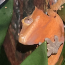 ilostmyshoe666 avatar