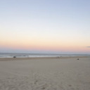 ilovealiceosemann avatar