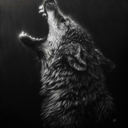 iloveanime15-blog1 avatar