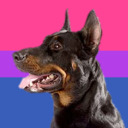 ilovebeaucerons avatar