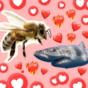 ilovebeesandsharks avatar