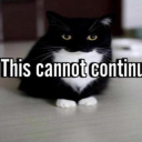 ilovebeingsillyfr avatar