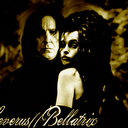 ilovebellatrixandseverus avatar