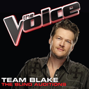 iloveblakeshelton-blog avatar