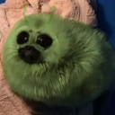 iloveblockbuster avatar