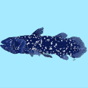 ilovecoelacanths avatar