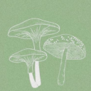 iloveiloveilove avatar