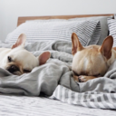 iloveitbutitkillsme avatar