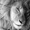 ilovemyrozybaby avatar