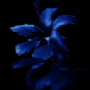 ilovewritingsm avatar