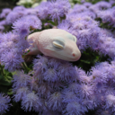 ilregnodelsilenzio avatar