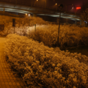 ilrumorediunattimo avatar