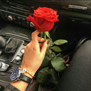 ilsilenziodelbosco avatar