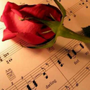 ilsorrisopiufintoeiltuo avatar