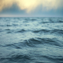 ilsuosorrisoblr avatar