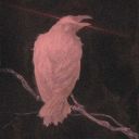 ilusiona-2-blog avatar