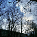 ilventoelatempesta avatar