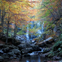 ilventomihafattacadere avatar