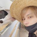 ily-like-a-banana avatar