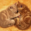 im-a-bit-of-a-fire-hazard avatar