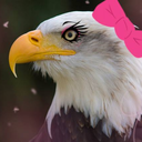 im-a-mother-fucking-bald-eagle avatar