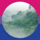 im-feeling-blue-today avatar