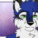 im-furryous-about-this-blog avatar