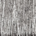 im-gunna-shine avatar