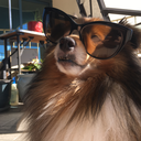 im-haught-blooded avatar