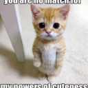 im-his-little-kitten- avatar