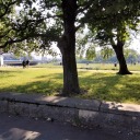 im-ignoring-canon avatar