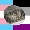 im-in-the-walls avatar