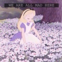 im-in-wonderland avatar