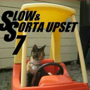 im-just-his-little-kunoichi avatar