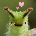 im-not-a-red-shirt avatar