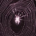 im-rewriting-ultimate-spider-man avatar