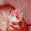 imabeyourguyd avatar