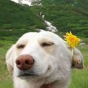 imactuallyhigh avatar