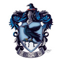 imadumb-ravenclaw avatar
