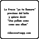 imagenesyfrasesderisa avatar